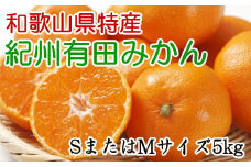 [秀品]和歌山有田みかん　5kg(SサイズまたはMサイズのいずれか) ※2025年11月中旬～2026年1月中旬頃順次発送（お届け日指定不可）【tec833A】