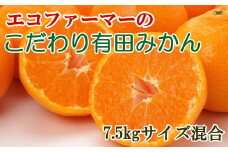 エコファーマーのこだわり有田みかん約7.5kg（サイズ混合）※2025年11月中旬～2026年1月中旬頃に順次発送【tec835B】