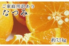 【ご家庭用訳アリ】初夏のみかん なつみ7.5kg　※2026年4月中旬頃〜2026年4月下旬頃に順次発送予定(お届け日指定不可)【uot733A】