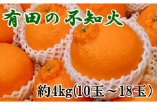 【濃厚】有田の不知火約4kg（10玉～18玉おまかせ） ※2025年2月上旬～2025年3月下旬頃に順次発送予定（日付指定不可）【tec862A】