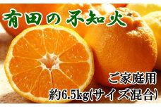 【濃厚】有田の不知火 約6.5kg ご家庭用向け（サイズ混合） ※2025年2月中旬～2025年3月中旬頃に順次発送予定（日付指定不可）【tec864】