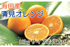 [厳選]有田産清見オレンジ約10kg（サイズおまかせ・秀品） ※2024年2月上旬～3月下旬頃順次発送予定（日付指定不可）【tec865】