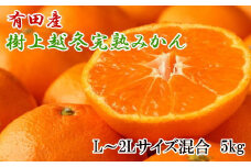 【濃厚・まろやか】有田産樹上越冬完熟みかん5kg（L～2Lサイズ混合・秀品） 【tec874A】