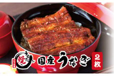 国産うなぎ 関西風蒲焼 大サイズ２枚(合計約300g)薬味付【太地グルメ市場】【miw102】