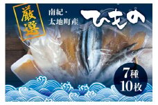 厳選干物 7種セット 創業80年！地元で愛される人気の干物 Dセット ( スルメイカ、アジ開き×2枚、カマス開き×2枚、サンマ開き×2枚、タチウオみりん干し 100g、マグロみりん干し 100g、フグみりん干し 100g) ひもの【sio103A】