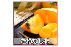 【 県認定エコファーマー】採れたてタネなし柿“Lサイズ”7.5kg【art001A】