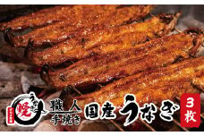 国産うなぎ 蒲焼 備長炭 炭火焼き 紀州職人焼 手焼き 大サイズ３枚(合計約450g)薬味付【太地グルメ市場】【miw104】