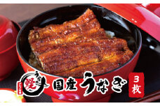 国産うなぎ 関西風蒲焼 大サイズ３枚(合計約450g)薬味付【太地グルメ市場】 【miw106】