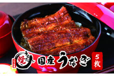 国産うなぎ 関西風蒲焼 大サイズ５枚(合計約750g)薬味付【太地グルメ市場】 【miw107】