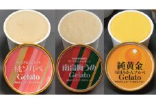プレミアムジェラート／ソルベ３種セット（南高梅うめ・純黄金有田みかん・もも）／ジェラート アイスクリーム プレミアムソルベ 100ml／ゆあさジェラートラボラトリー 紀伊国屋文左衛門本舗 SenZanAn Premium Ice Cream【ntbt704】