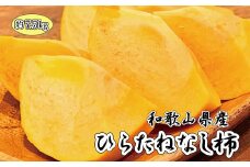 【ご家庭用わけあり】和歌山秋の味覚　平核無柿（ひらたねなしがき） 約7.5㎏　※2025年10月上旬頃～2025年10月末頃順次発送（お届け日指定不可）【uot718A】