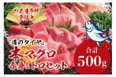 【本日までの受付！】【好評により寄附額変更！】本マグロ（養殖）トロ＆赤身セット 500g 【12月26日～30日に発送】高級 クロマグロ  中トロ 中とろ まぐろ マグロ 鮪 赤身 柵 じゃばらまぐろ 年内配送 年内発送 お正月 正月【nks110B-cp-sg】