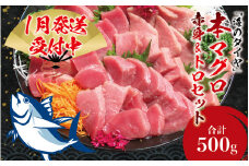 【期間限定 特別寄付額】本マグロ（養殖）トロ＆赤身セット 500g 【1月発送】高級 クロマグロ  中トロ 中とろ まぐろ マグロ 鮪 赤身 柵 じゃばらまぐろ 本マグロ 本鮪【nks110B_cp-1】