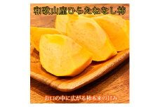 【2025年発送分予約】【ご家庭用わけあり】和歌山秋の味覚　平核無柿（ひらたねなしがき）3.5kg【uot740】