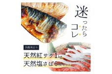 迷ったらコレ！！魚鶴商店の天然紅サケ１ｋｇ & 塩さばフィレ６枚セット【uot744A-1】
