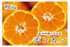 紀州和歌山有田産ポンカン　5㎏	※2026年2月上旬頃～2026年2月下旬頃に順次発送（お届け日指定不可）【uot722】