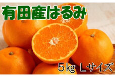 【厳選・濃厚】紀州有田産のはるみ約5kg(Lサイズ) ※2026年1月下旬～2026年2月中旬頃より順次発送(お届け日指定不可)【tec914B】