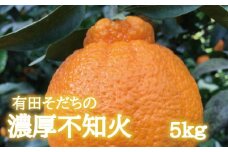 【先行予約】有田育ちの濃厚不知火(ご家庭用)(通称デコポン)　約5kg【ard021A】