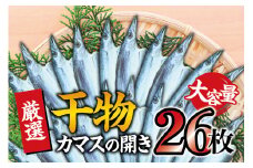 干物セット 大容量でお届け カマスの開き26枚セット 干物 ひもの カマス 家庭用 定番【sio109】