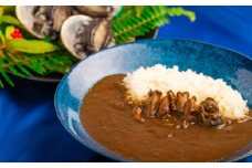 和歌山のアワビ屋さんがつくったあわびカレー 【170g×3袋】＜日付指定OK＞【riz305】