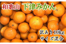 【訳あり】和歌山下津みかん約10kgご家庭用向け(サイズ混合) ※2025年11月中旬～2026年1月中旬頃に順次発送【tec885A】
