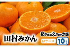 田村みかん 特選ギフト品 10kg【Mサイズ】赤秀/紀州和歌山有田郡湯浅町田村地区産 ◆2025年11月下旬～2026年1月中旬頃に順次発送(お届け日指定不可)　紀伊国屋文左衛門本舗【ntbt303B】