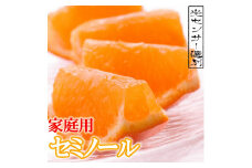 ＜6月より発送＞家庭用セミノールオレンジ3kg+90g（傷み補償分）【春みかん】【有田産】【光センサー食べ頃出荷】【わけあり・訳あり】【ikd074A】