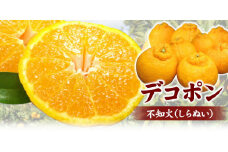 田村産「デコ」不知火[約3kg]湯浅町田村産春みかん(果実サイズおまかせ)/紀伊国屋文左衛門本舗　※2025年2月中旬～3月下旬頃に順次発送予定(お届け日指定不可)【ntbt493A】