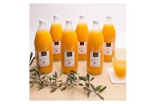 無添加・有田みかん100%ストレートジュース1000ml×6本【ikd110A】