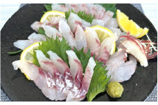 ＼数量限定／ クロムツの煮付用＋刺身用セット 【冷蔵便】 くろむつ 黒睦 ムツ 煮つけ 煮付 煮付け 刺身 お刺身 国産 太地町【tgk110】