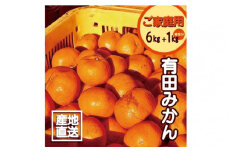 【訳あり】2S～3Lサイズおまかせ！有田みかん 6kg+1kg保証分 11月から12月下旬までに順次発送致します。 / 訳ありみかん 有田みかん みかん ミカン 蜜柑 柑橘 温州みかん 和歌山 ご家庭用【fkn001B】