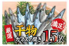 干物セット 満足の内容量！ カマスの開き15枚セット ／ 干物 ひもの カマス 家庭用 定番【sio114】