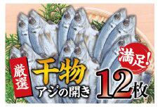 干物セット 満足の内容量！アジの開き12枚セット ／ アジ あじ 干物 ひもの 詰め合わせ 干物【sio115A】