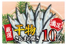 干物セット 満足の内容量！さんまの開き10枚セット ／ ひもの 詰め合わせ 干物 さんま サンマ【sio116】
