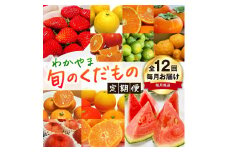 【旬のくだもの定期便】和歌山県の旬のフルーツを毎月お届け！　全12回【Ｓ】（配送日時指定不可）※北海道・沖縄・離島への配送不可 / 定期便 フルーツ みかん いちご イチゴ セミノール 河内晩柑 すいか 桃 柿 ジュース 12回 【ard-tkb901A】