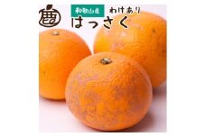 ＜先行予約＞家庭用はっさく2.5kg+250g（傷み補償分）【八朔みかん】【わけあり】＜1月より発送＞ ※北海道・沖縄・離島への配送不可【ikd139A】