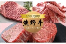 【3か月定期便】＼A4以上の高級和牛 「熊野牛」を3か月連続でお届け！／  (霜降りローススライス・霜降り赤身こま切れ・ヒレシャトーブリアンステーキ＆霜降りサーロインステーキ) / 国産 肉 牛肉 和牛 黒毛和牛 焼肉 ステーキ すき焼き しゃぶしゃぶ ロース 赤身 サーロイン シャトーブリアン 霜降り 冷凍 定期便【tkb312】