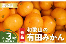 【1月発送】秀品 有田みかん 和歌山県産  S～Lサイズ 大きさお任せ 3kg / みかん フルーツ 果物 くだもの 有田みかん 蜜柑 柑橘【ktn001-1】