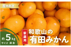 【1月発送】家庭用 有田みかん 和歌山  S～Lサイズ大きさお任せ 5kg / みかん フルーツ 果物 くだもの 有田みかん 蜜柑 柑橘【ktn007A-1】