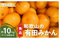 【1月発送】秀品 有田みかん 和歌山県産 S～Lサイズ 大きさお任せ 10kg / みかん フルーツ 果物 くだもの 有田みかん 蜜柑 柑橘【ktn003-1】