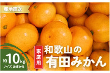 【1月発送】家庭用  有田みかん 和歌山  S～Lサイズ 大きさお任せ 10kg / みかん フルーツ 果物 くだもの 有田みかん 蜜柑 柑橘【ktn008A-1】