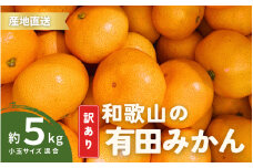 家庭用 訳あり 有田みかん 和歌山  小玉(2S,3Sサイズ混合) 5kg【10月上旬～1月下旬頃に順次発送】/ みかん フルーツ 果物 くだもの 有田みかん 蜜柑 柑橘【ktn010A】