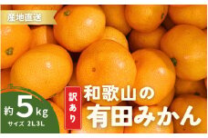 家庭用 訳あり 有田みかん 和歌山  2L,3Lサイズ 約5kg【10月上旬～1月下旬頃に順次発送】/ みかん フルーツ 果物 くだもの 有田みかん 蜜柑 柑橘【ktn011】