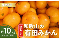 家庭用 訳あり 有田みかん 和歌山  大玉(2L,3Lサイズ混合) 約10kg【10月上旬～1月下旬頃に順次発送】/ みかん フルーツ 果物 くだもの 有田みかん 蜜柑 柑橘【ktn012A】