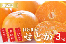 【先行予約】ご家庭用 せとか 和歌山 有田 S～3Lサイズ 大きさお任せ 3kg【2月中旬～3月下旬頃に順次発送】/ みかん フルーツ 果物 くだもの 蜜柑 柑橘【ktn014A】