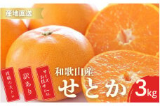 【先行予約】訳あり せとか 和歌山 有田 2S～3Lサイズ混合 3kg 【2月中旬～3月下旬頃に順次発送】/ みかん フルーツ 果物 くだもの 蜜柑 柑橘【ktn015A】