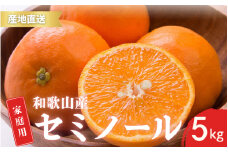 【先行予約】ご家庭用 セミノール 和歌山 有田  S～2Lサイズ 大きさお任せ 5kg【4月下旬～5月下旬頃に順次発送】/ みかん フルーツ 果物 くだもの 蜜柑 柑橘【ktn017A】