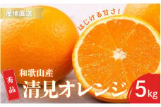 【先行予約】秀品 きよみ 清見オレンジ 和歌山 有田 S～2Lサイズ 大きさお任せ 5kg【2月中旬～3月下旬頃に順次発送】/ みかん フルーツ 果物 くだもの 蜜柑 柑橘【ktn022】