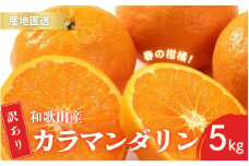 【先行予約】訳あり 有田 カラマンダリン なつみ 春のみかん 2S～3Lサイズ混合 5kg【2025年4月上旬～5月上旬までに順次発送予定】/ みかん フルーツ 果物 くだもの 蜜柑 柑橘【ktn021A】