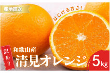 【先行予約】訳あり きよみ 清見オレンジ 和歌山 有田 2S～3Lサイズ混合 5kg 【2月中旬～3月下旬頃に順次発送】/ みかん フルーツ 果物 くだもの 蜜柑 柑橘【ktn023A】